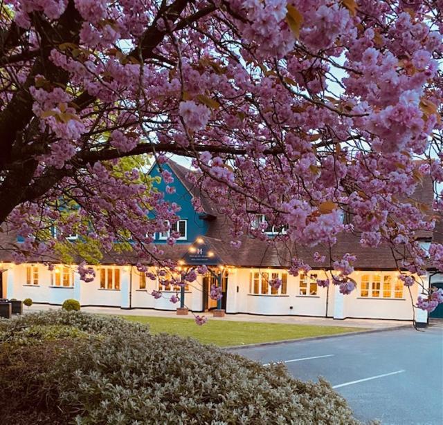 Hockley House Otel Hockley Heath Dış mekan fotoğraf